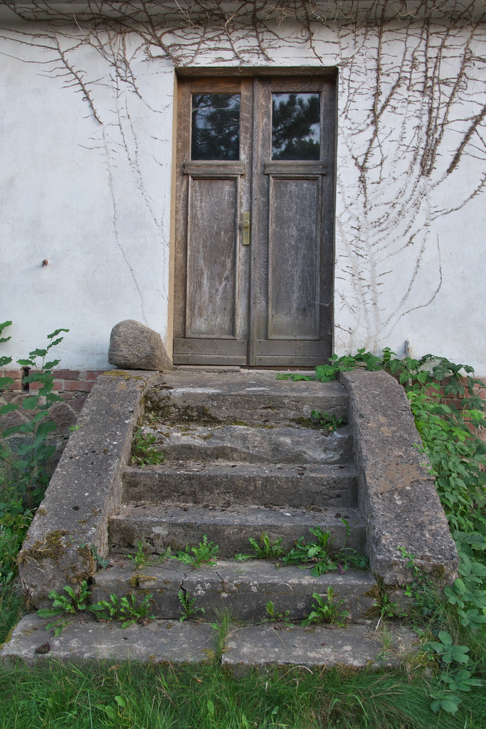 Wachgeküsst