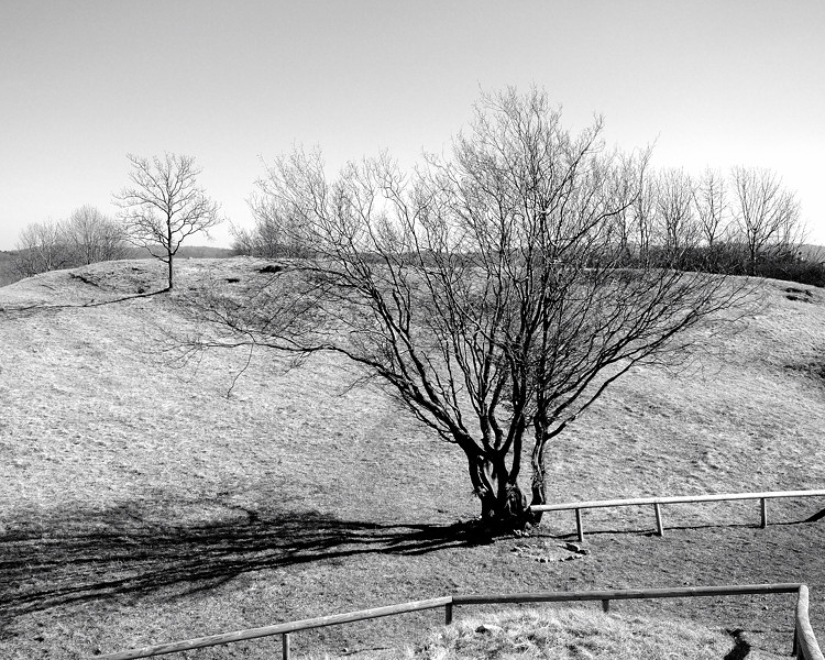 Walberla/Franken
Wintersonne