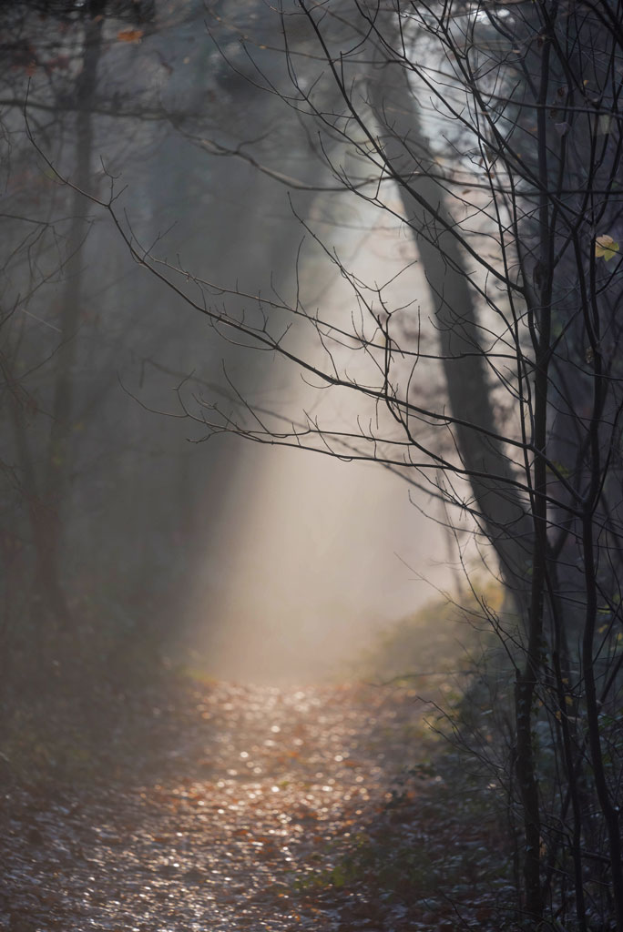 wald 20151206