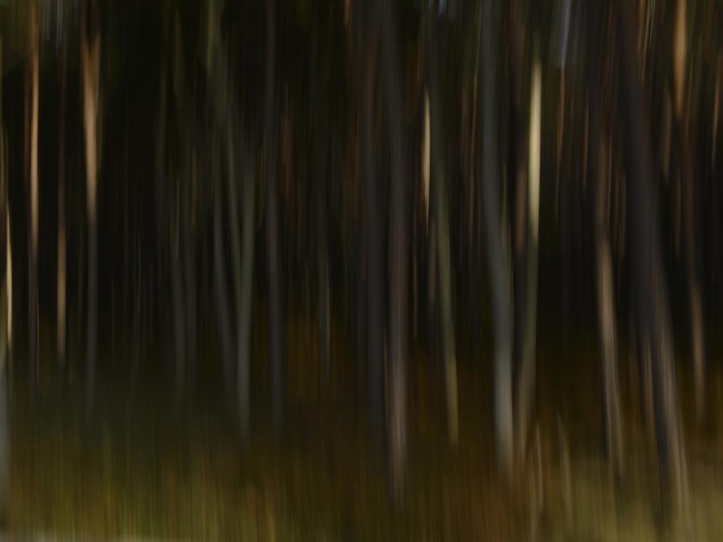 Wald I