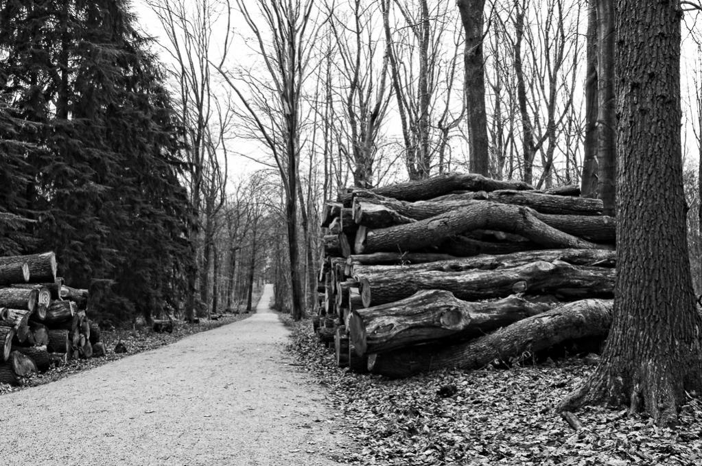 wald trostlos