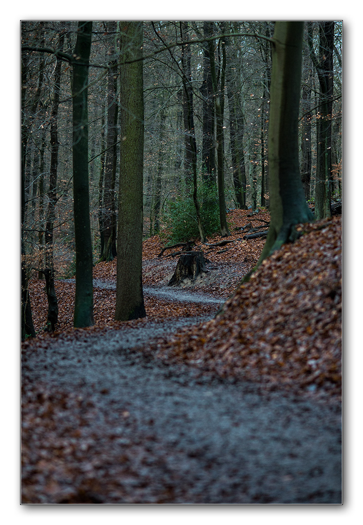 wald