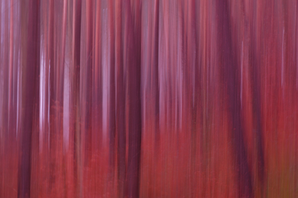 Wald