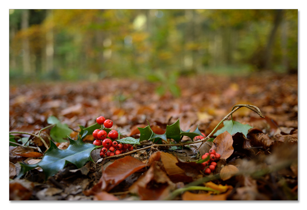 wald10