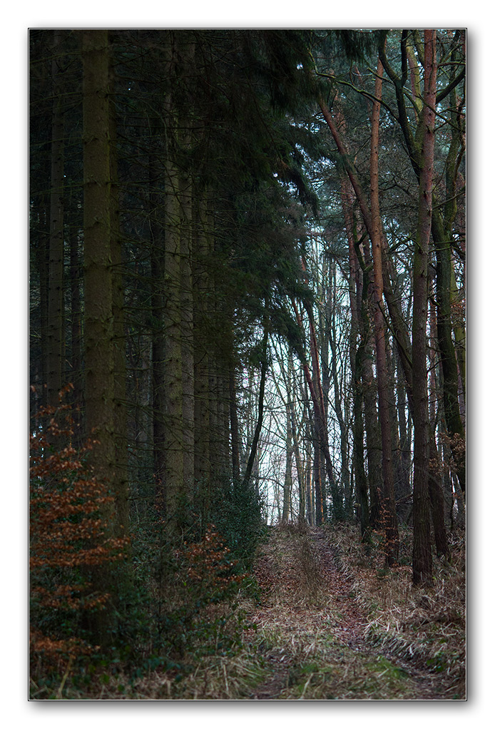 wald12