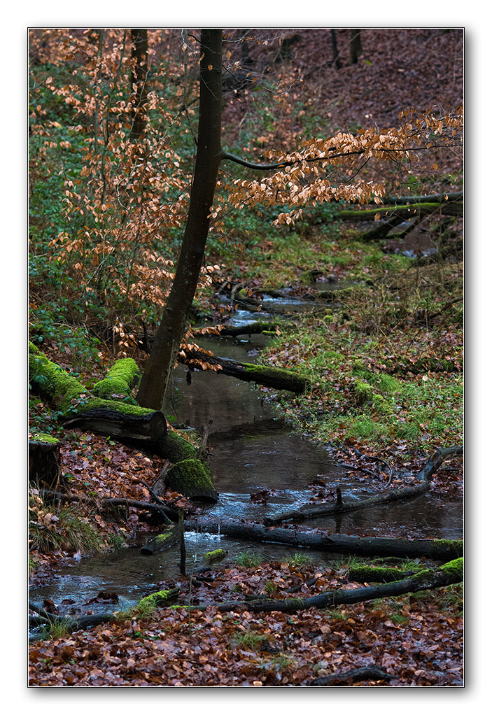 wald2