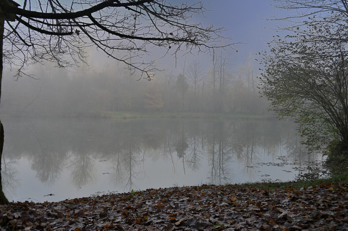 wald21018.JPG
