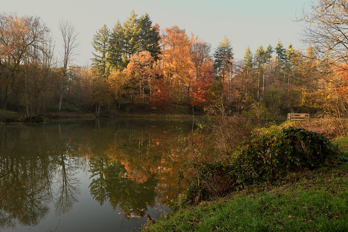 wald21022.JPG