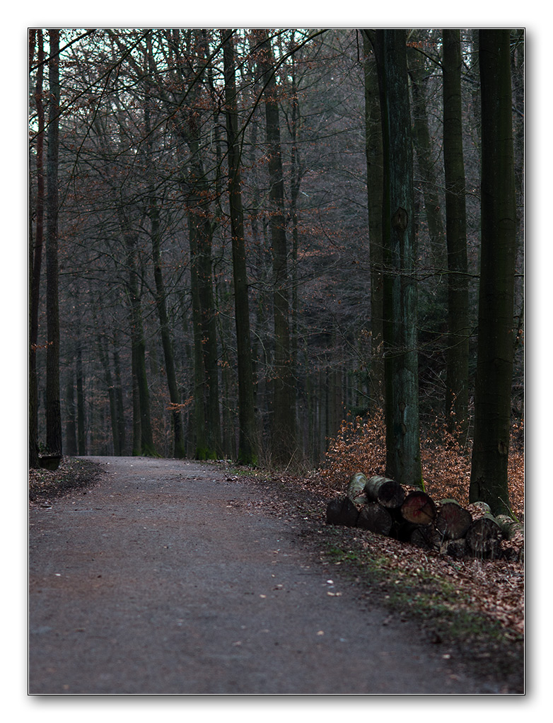 wald8