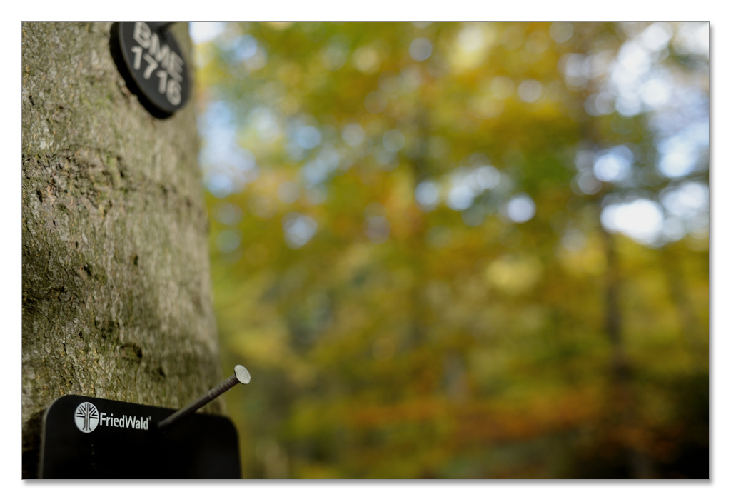 wald9