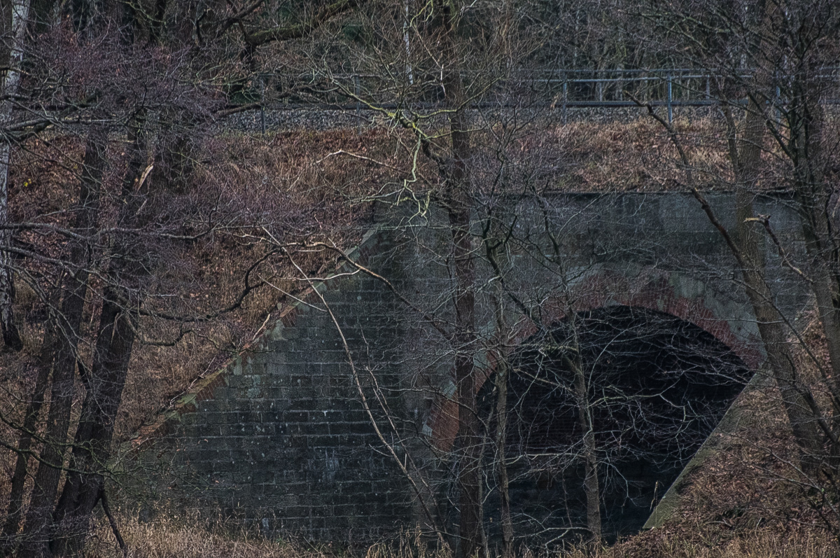 Waldbrücke (1 von 1).JPG
