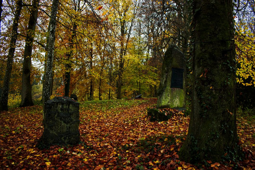 Waldfriedhof "Cold November Rain"