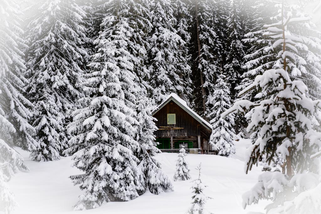 Waldheimat