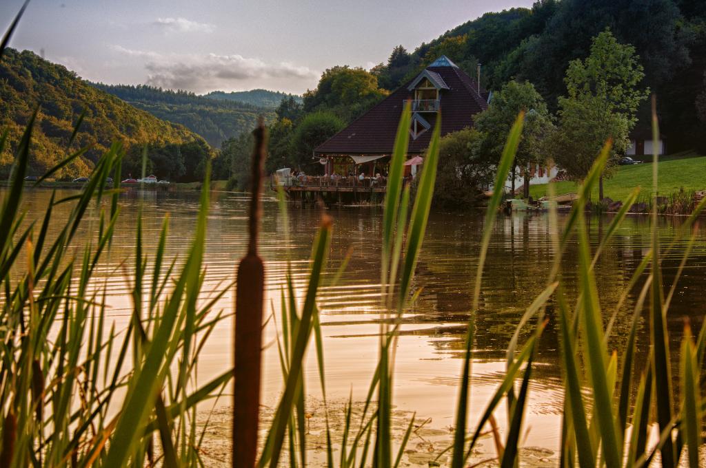 Waldsee in Rieden bei Mayen/Eifel