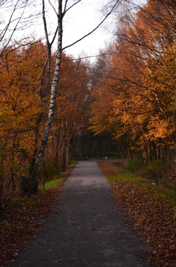 Waldweg