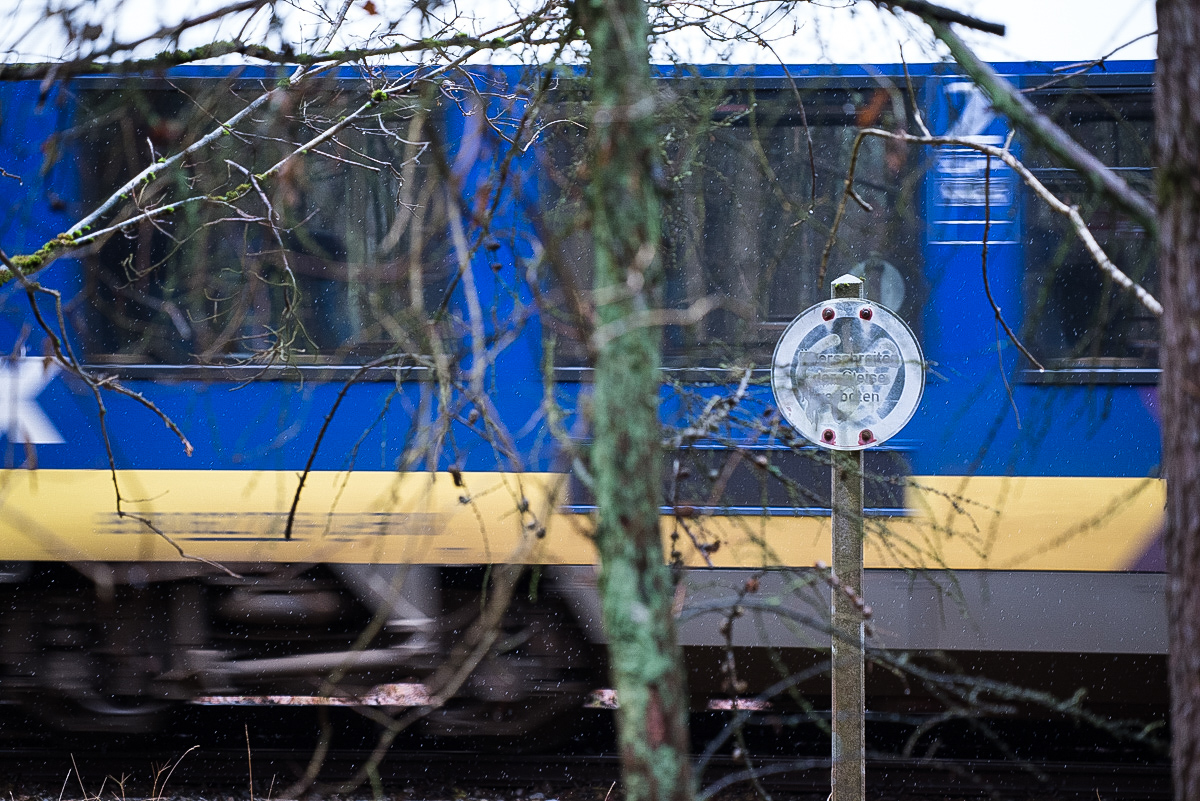 Waldzug (1 von 1).JPG