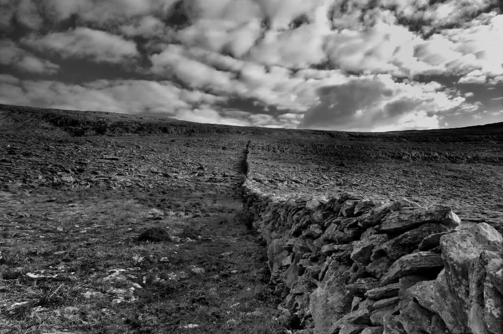 wall2 1