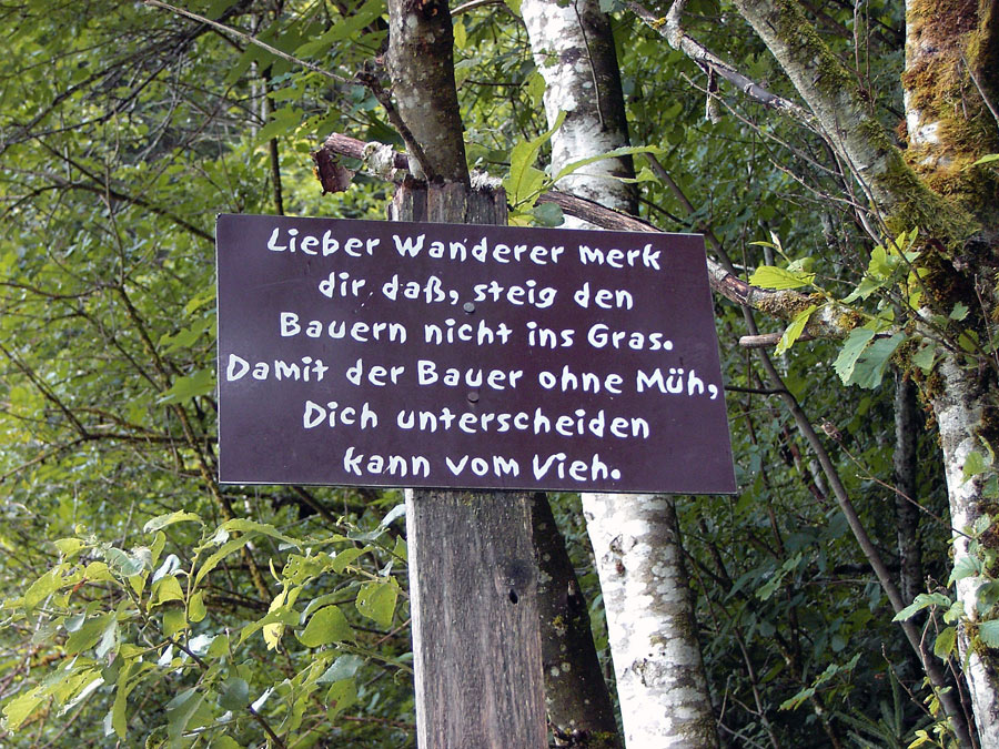 wanderer