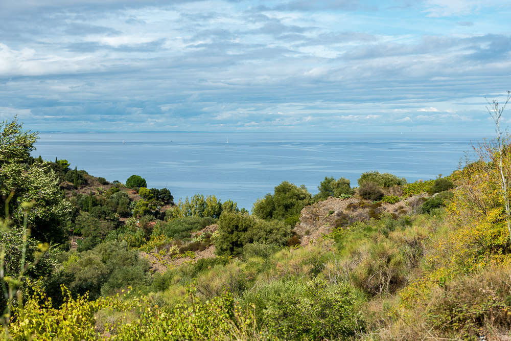 Wandern nach Collioure 003