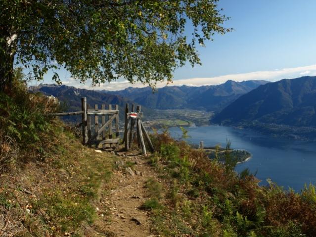 Wanderweg oberhalb Ronco sopra Ascona