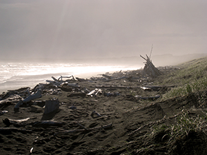 Wanganui - North Island