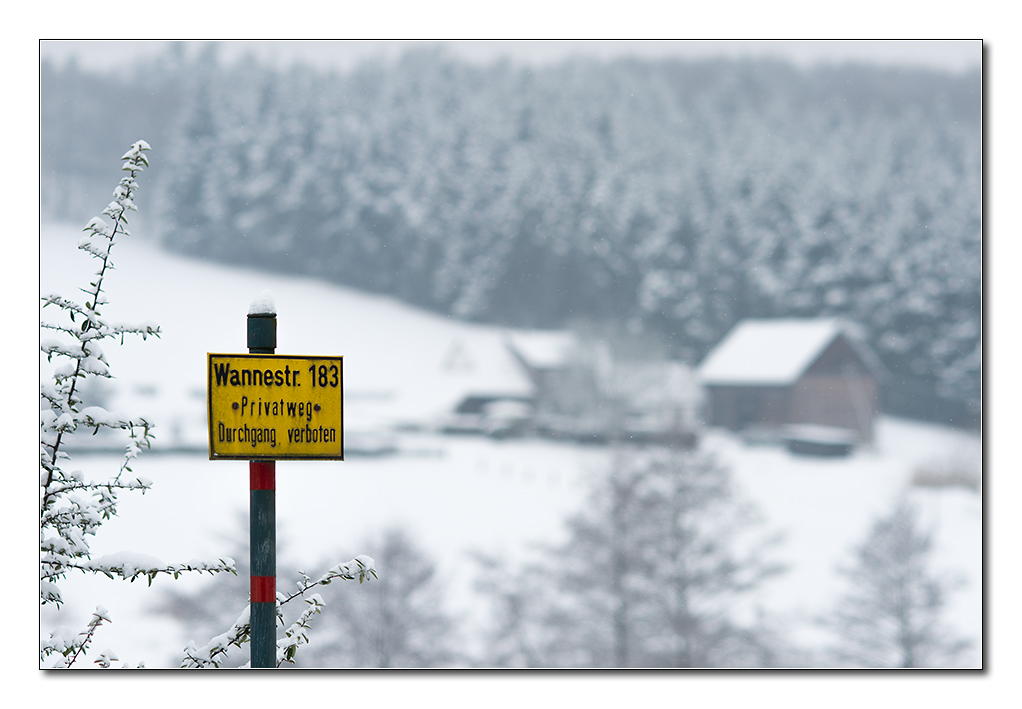 wannebach1