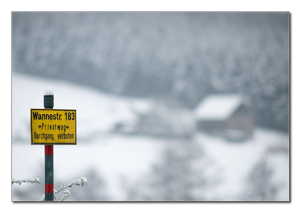 wannebach2