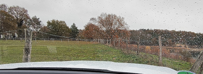 Warten auf ne Regenpause.jpg