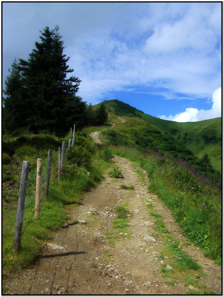 Was, da sollen wir jetzt rauf? - Ja! Gipfelwanderung auf 1787m zum Riedberger Horn.
