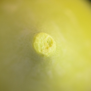 Was ist das.20110915