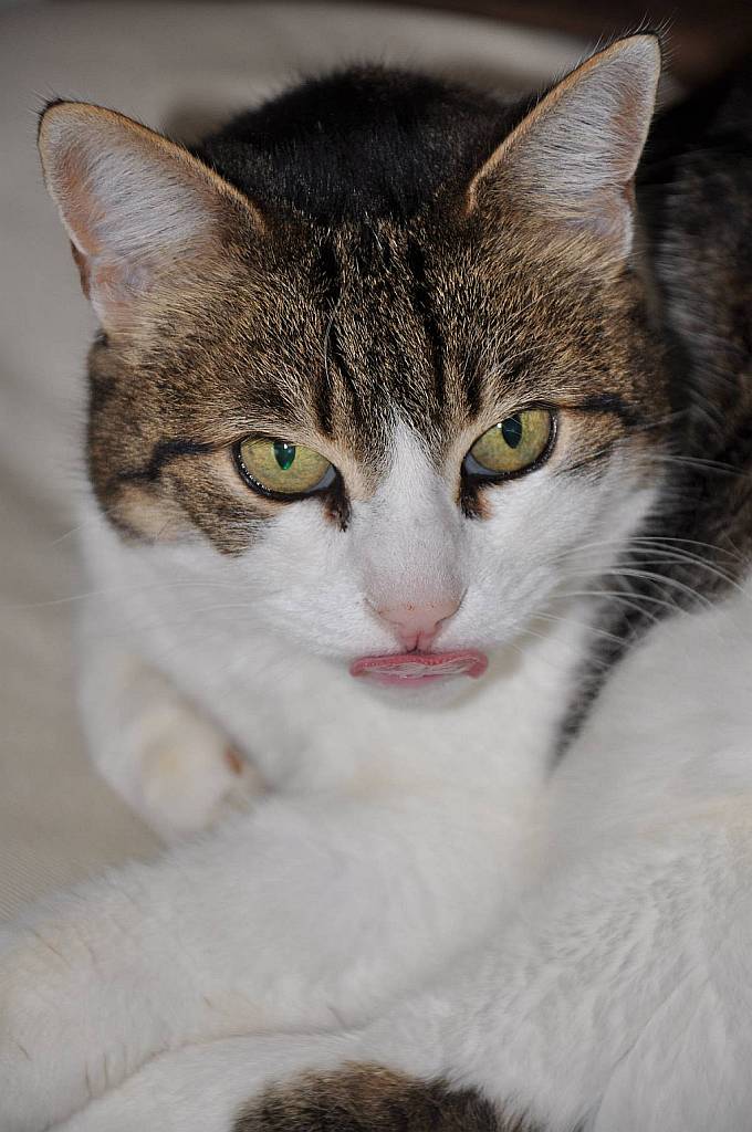 Was ist!?