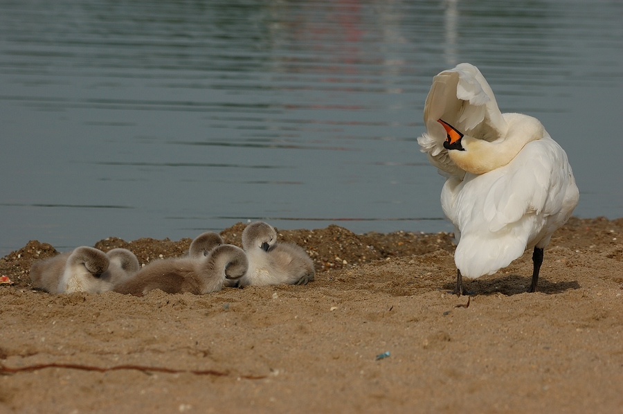 "Waschen ab ins Bett" Seepark Lünen