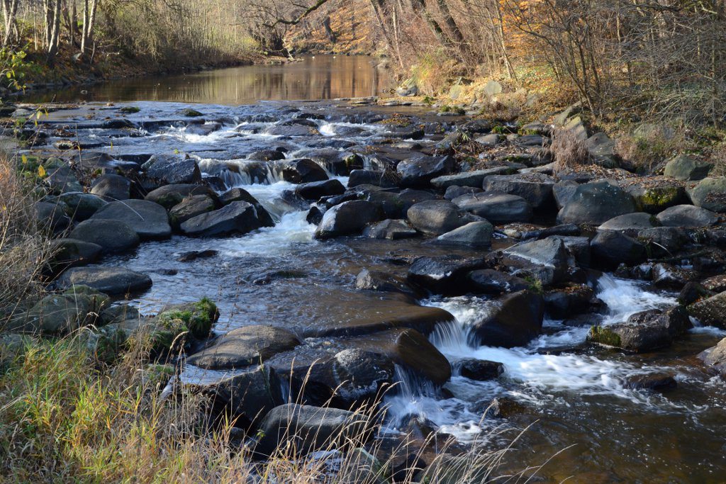 wasser 01