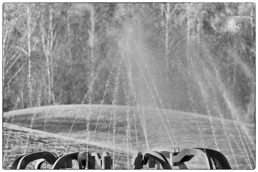 Wasser PZ14901