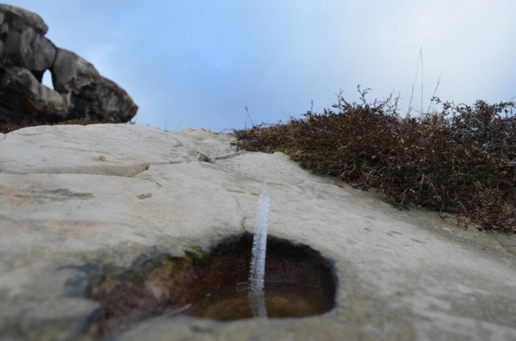 Wasser wächst nach oben