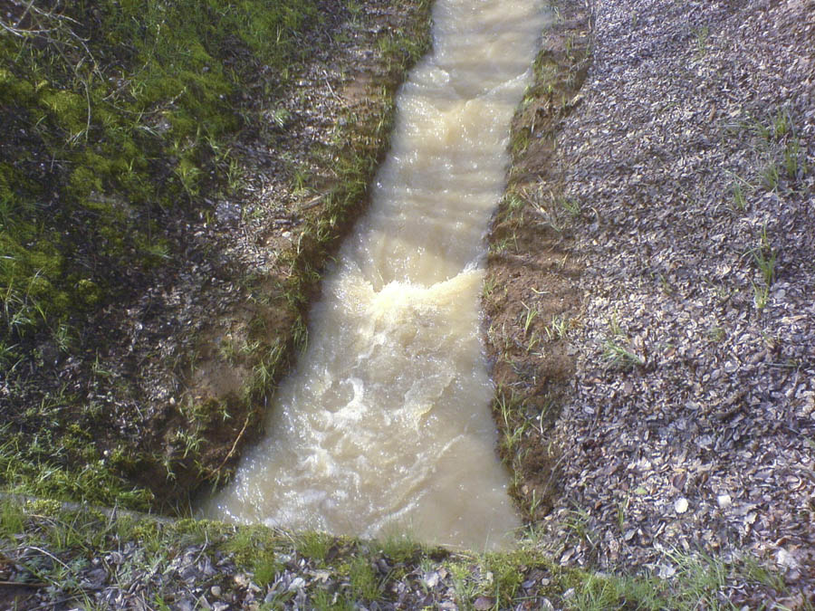Wasser