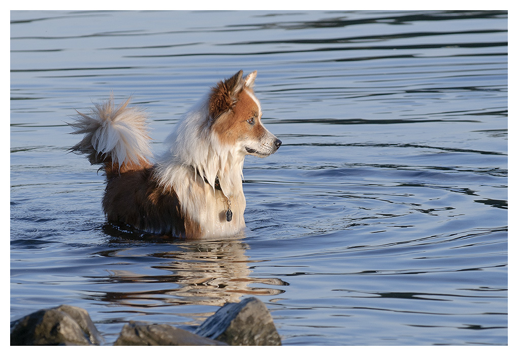 Wasser