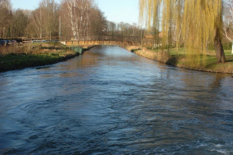 Wasser