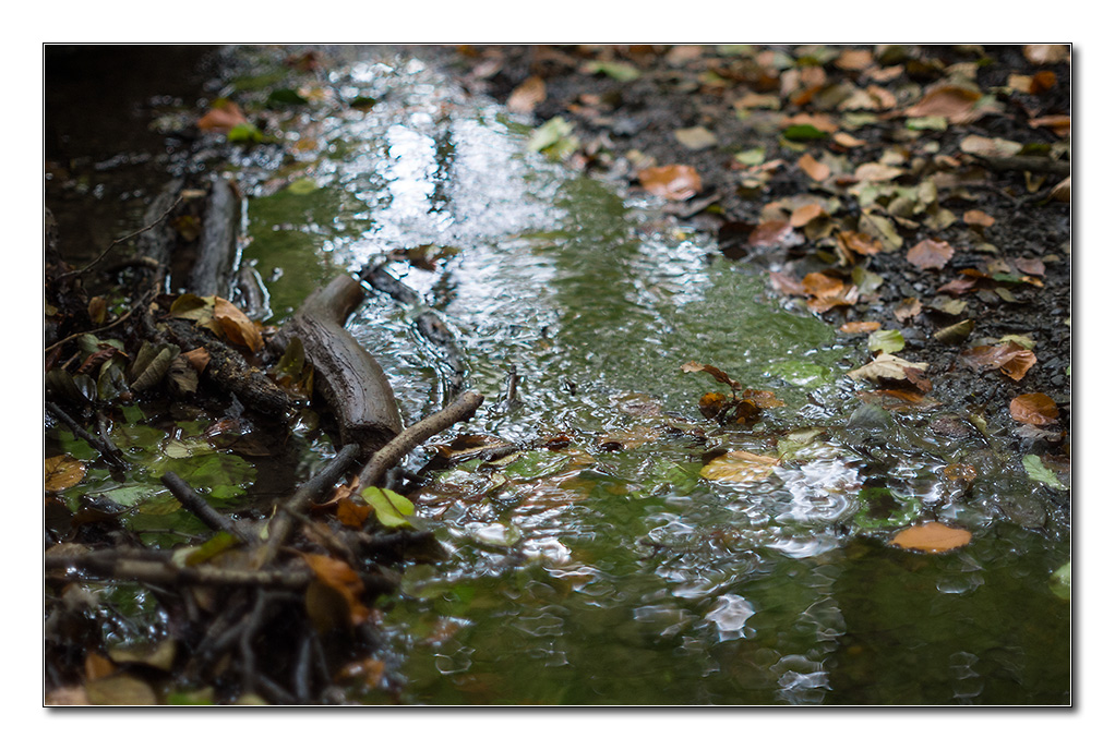 wasser