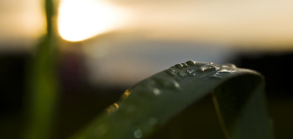 Wasser
