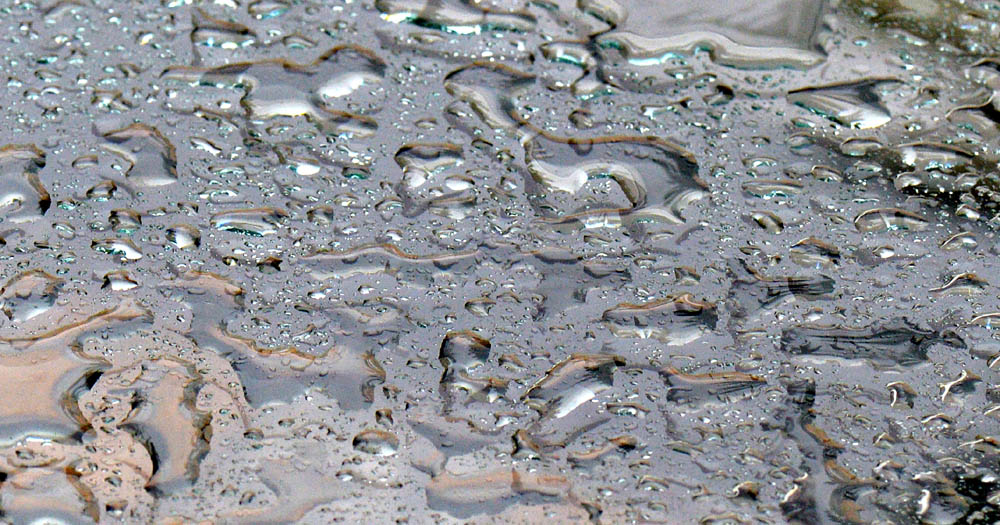 wasser11