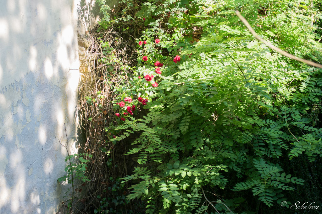 Wasserburg Hainchen