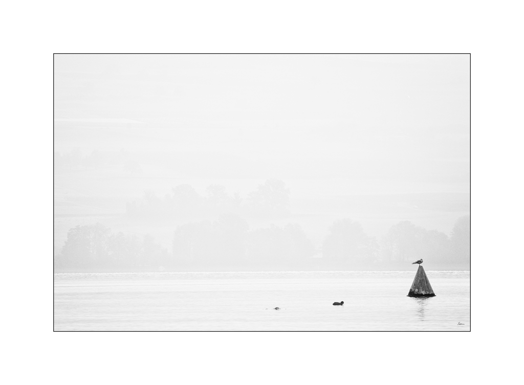 WasserDSC 6502