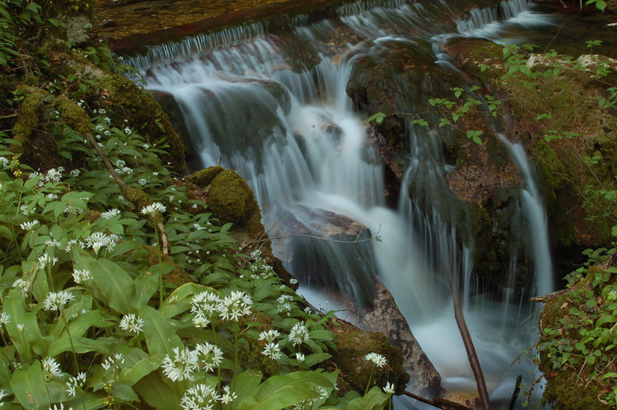 Wasserfall
