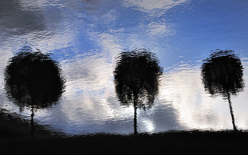 Wasserfläche