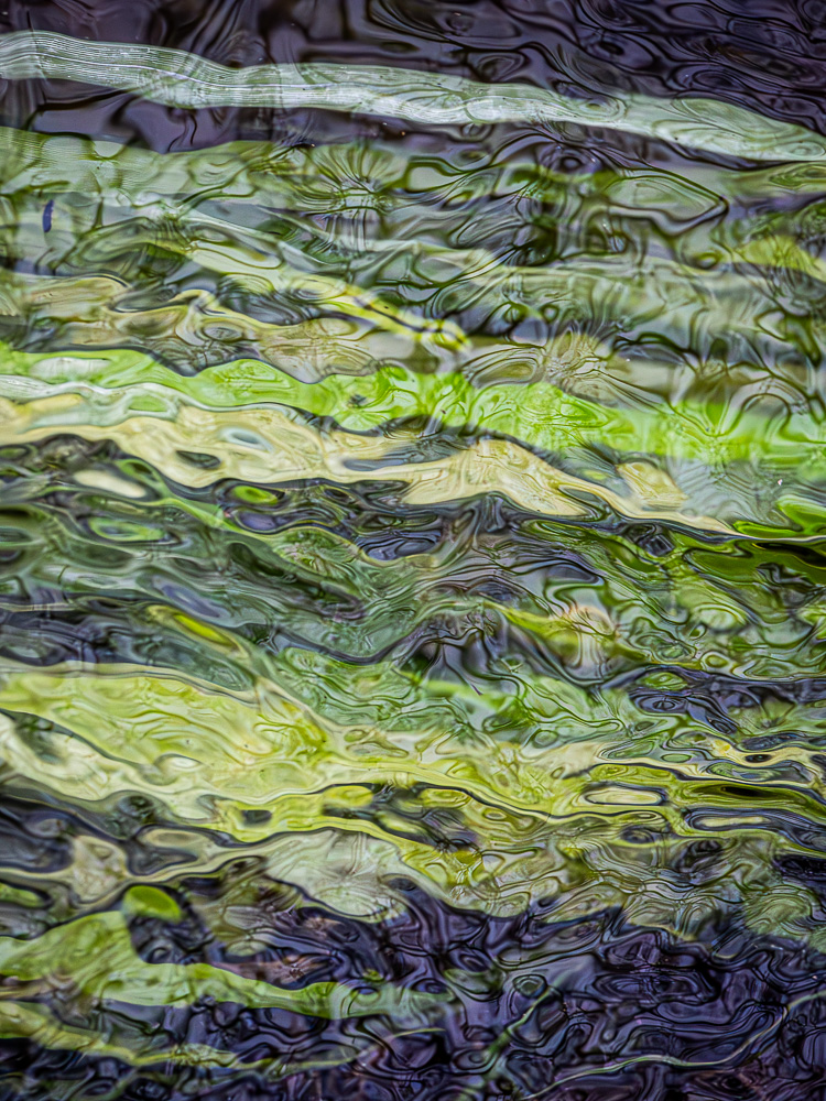 Wasserhalme