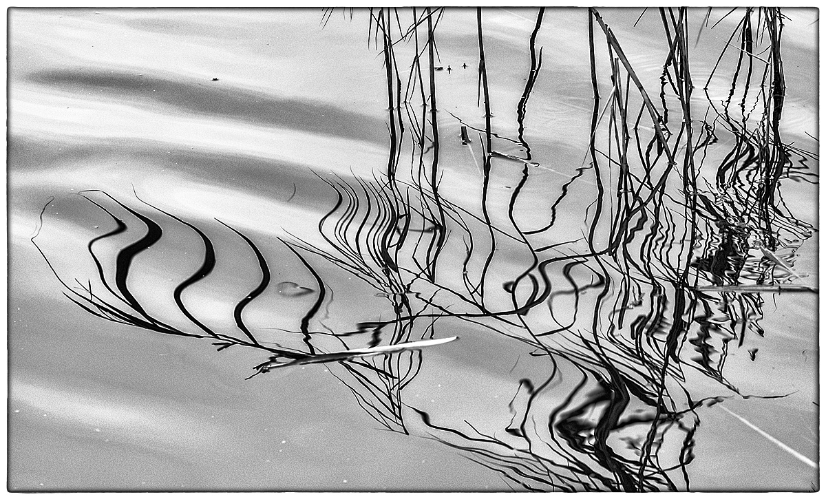Wasserlinien