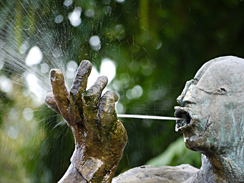 wasserspeier1