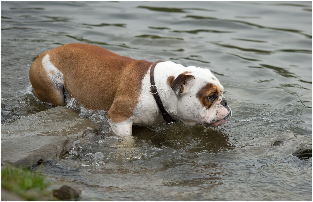 wasserspiele3