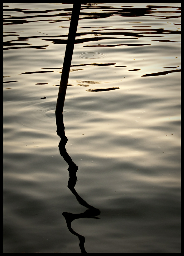 Wasserstab 2